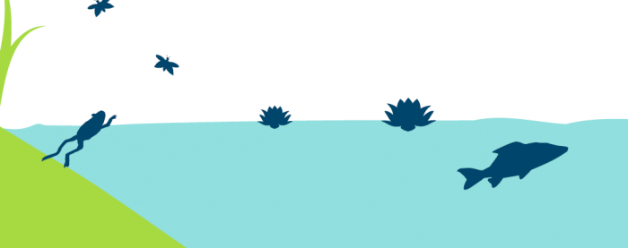 Klimatilpasning i vandløb – komplekse kommunale opgaver