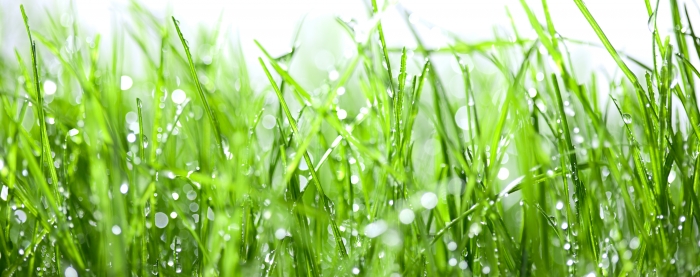 God grund til et gennemgribende  eftersyn af vandløbsloven